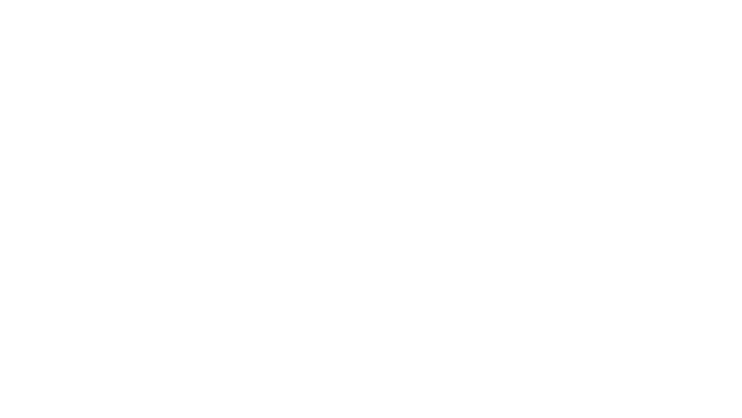 Creative Native logo